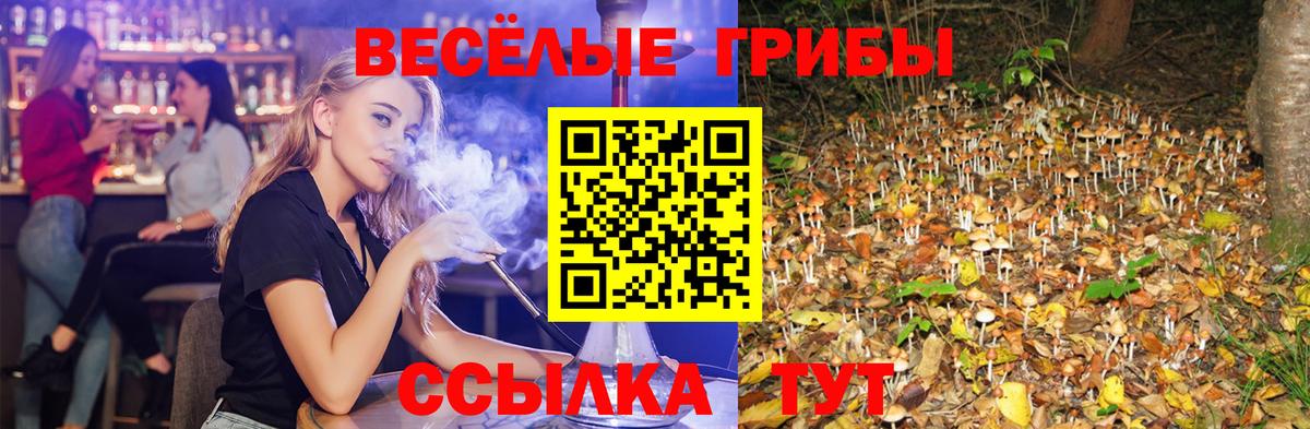 Псилоцибиновые грибы Magic Shrooms Артём