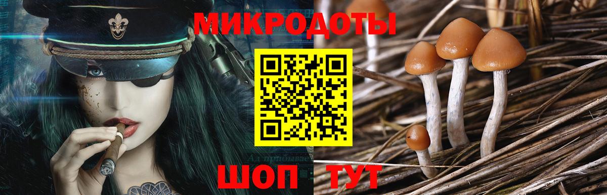 Псилоцибиновые грибы ЛСД  Вход с VPN  Артём  Псилоцибиновые грибы Cubensis 