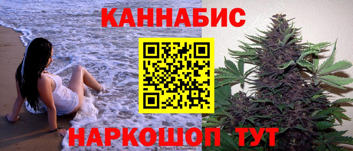 Конопля сатива Артём